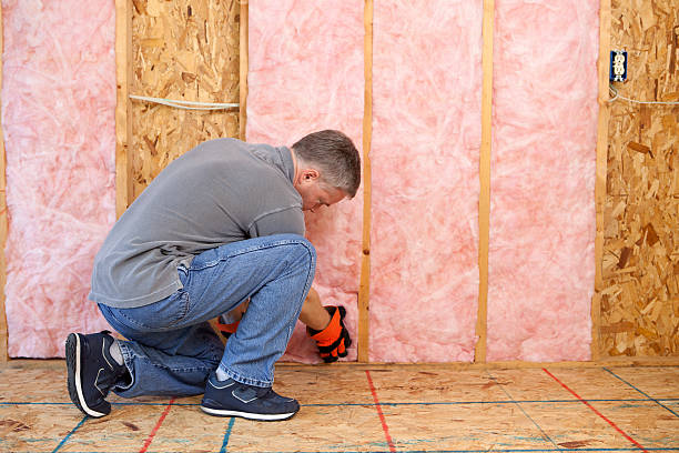 Best Soundproof Insulation  in Telford, TN